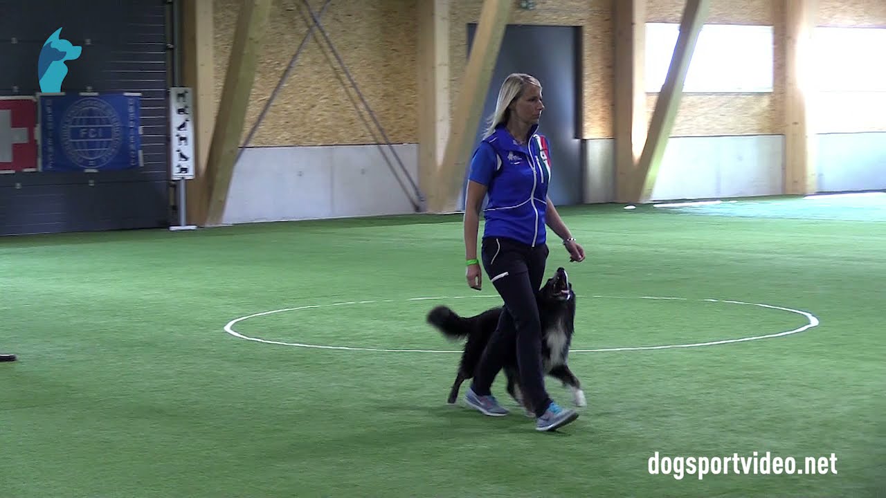 Finals - Valentina Balli + Mind the dog Lycan / Border Collie - Italy