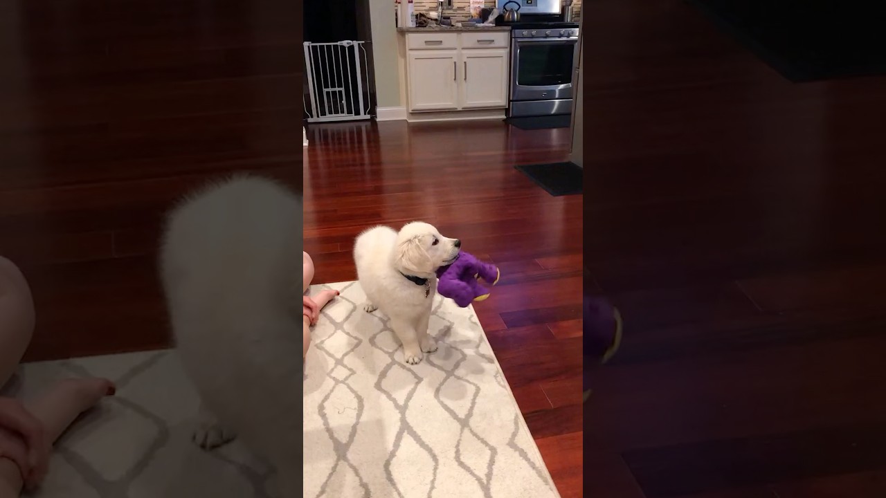 Atlas really loves his Disney movies&hellip; 🍿🥹❤️