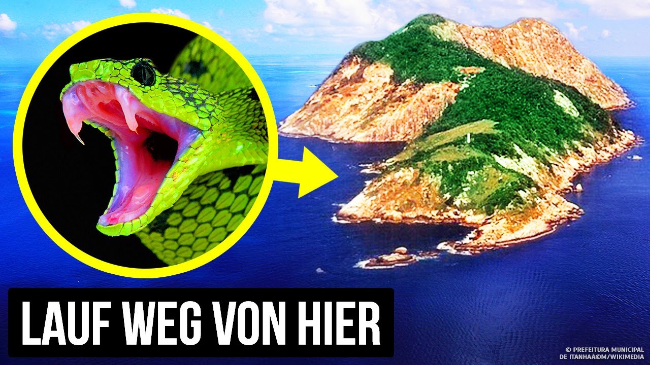 Wie Schlangen diese Insel zum gef&auml;hrlichsten Ort des Planeten machten