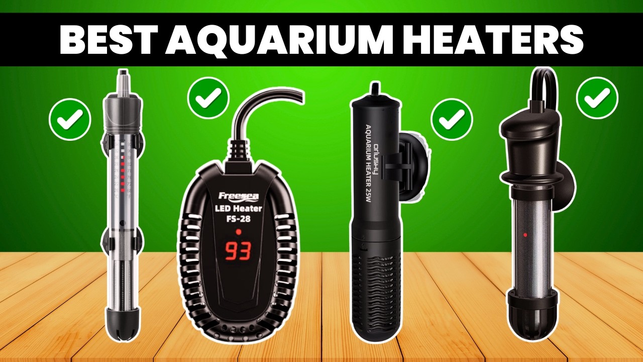 Best Aquarium Heaters 2026 &mdash; Top 5 Models for Safety, Durability, and Efficiency