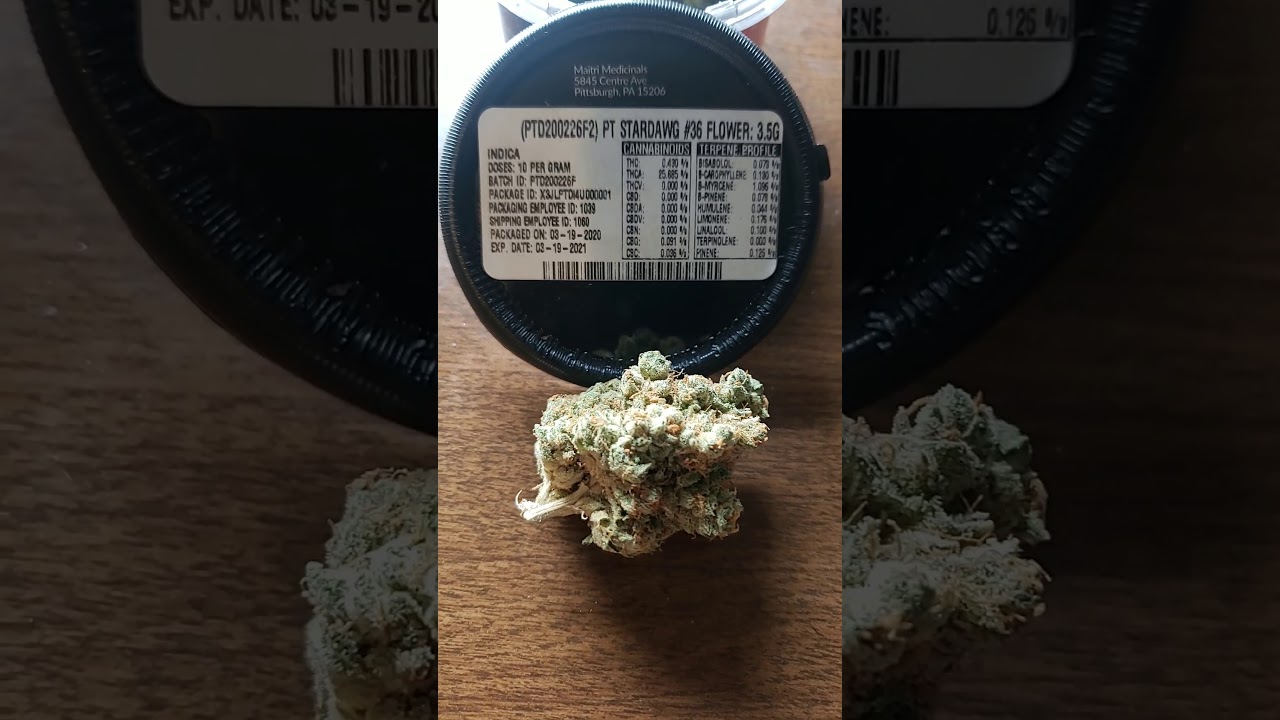 ⭐🐕💨Medical Marijuana Review #43 : PT Stardawg #36 : Prime