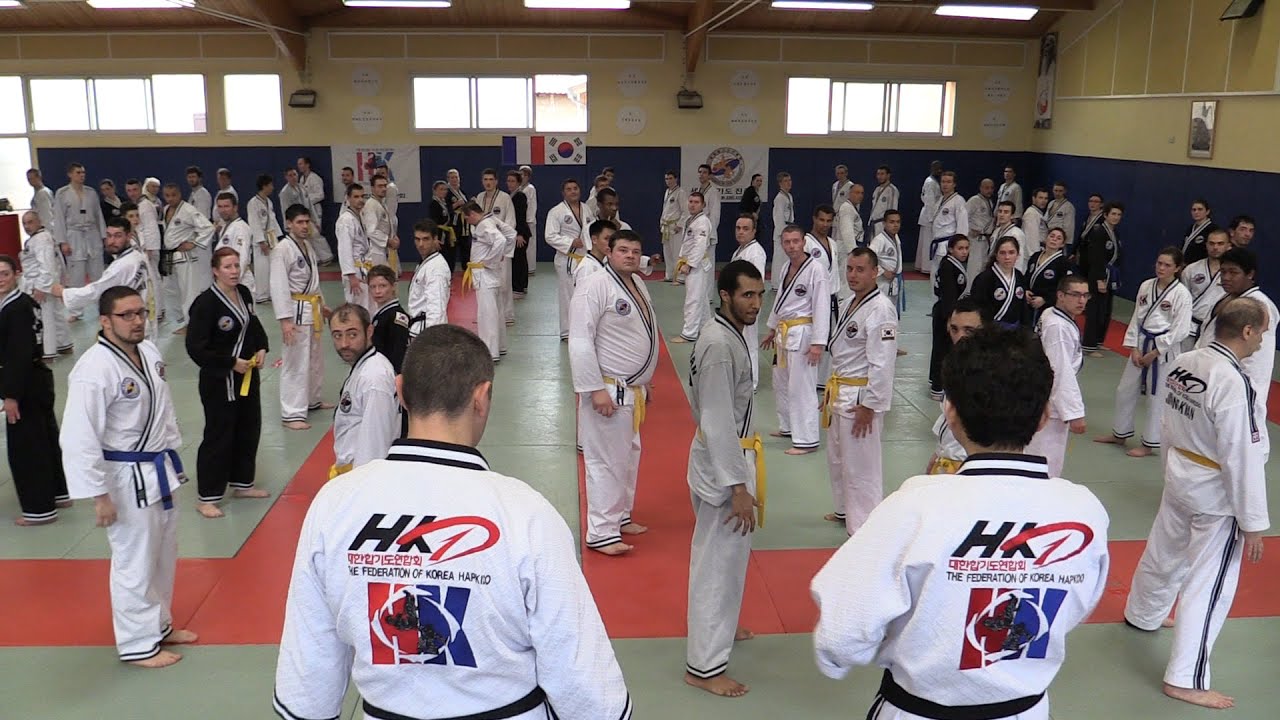 Hapkido JJK -  Color belts seminar 2015