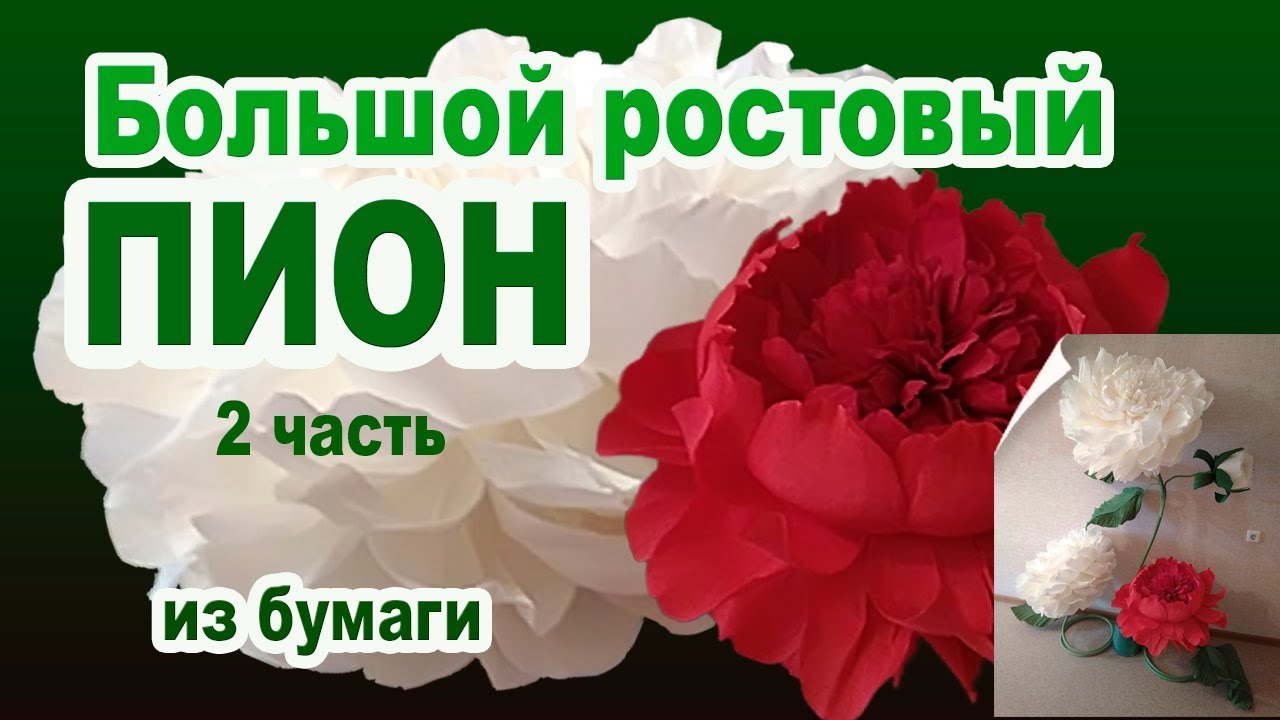 ВИДЕОУРОК 2 часть БОЛЬШИЕ РОСТОВЫЕ ПИОНЫ.ARTdeko.