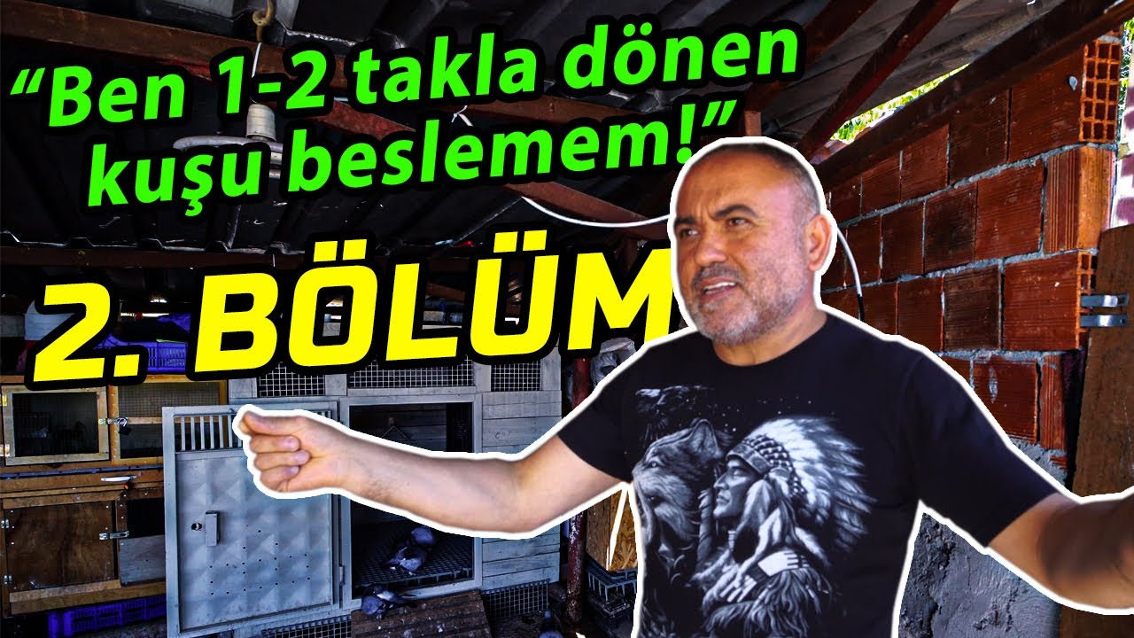 Kümes Baskınları Serisi | 2. Bölüm: Şişli-Beyoğlu Kuşçuları | 80 TAKLALI GÜVERCİNİN HİKAYESİ |