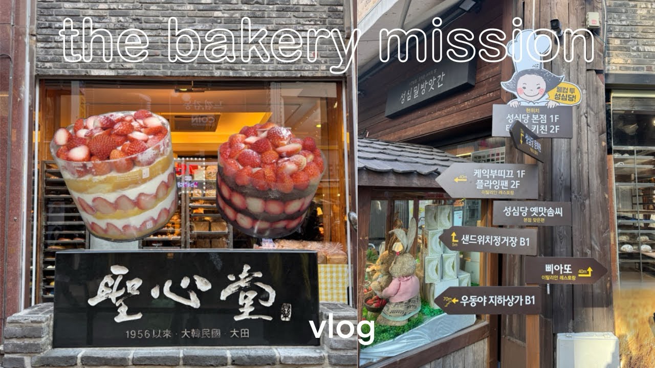 vlog. the famous Sungsimdang cake pick up | 대전가서 빵만 사오기 | 성심당 딸기시루 딸기설기 진짜 맛있을까?