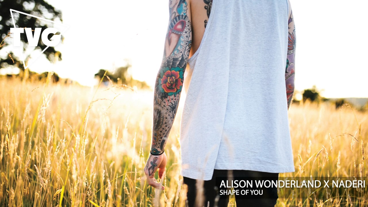 Alison Wonderland x Naderi - Shape Of U (Cover)