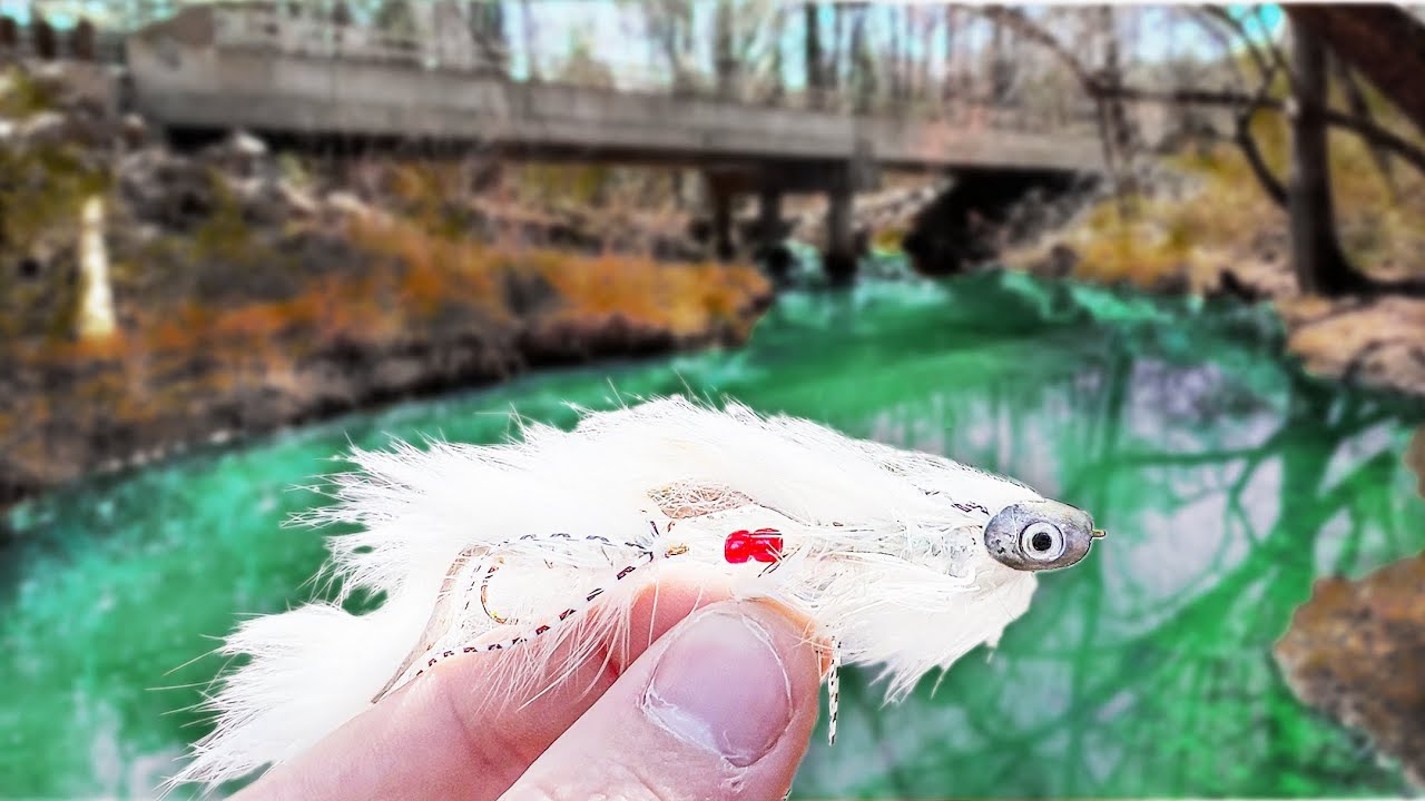 Streamer Fishing a LOADED Creek (fly fishing for bass)