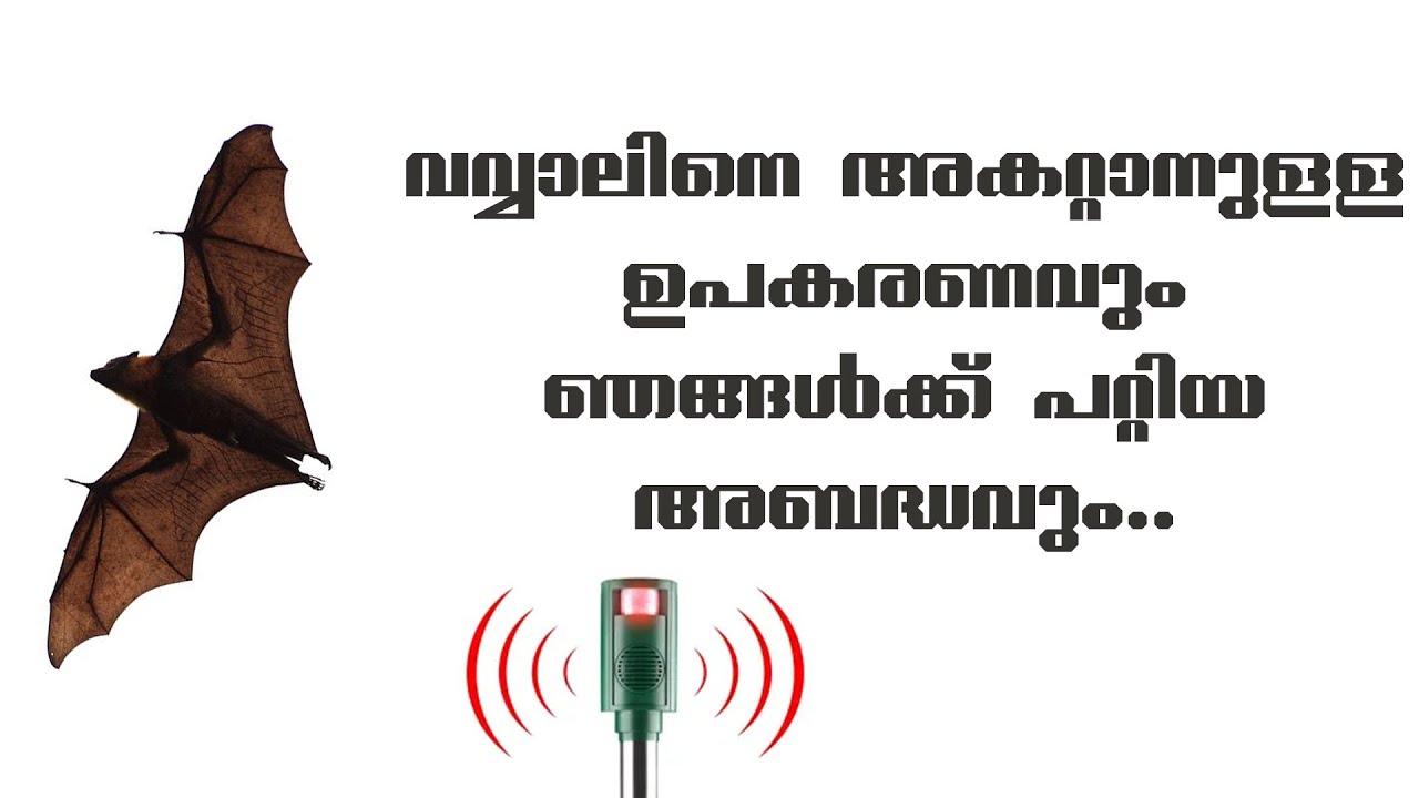 ‌വവ്വാലിനെ അകറ്റാനുള്ള ഉപകരണവും ഞങ്ങൾക്ക് പറ്റിയ അബദ്ധവും|Bat Repellent|Electroscope Malayalam.