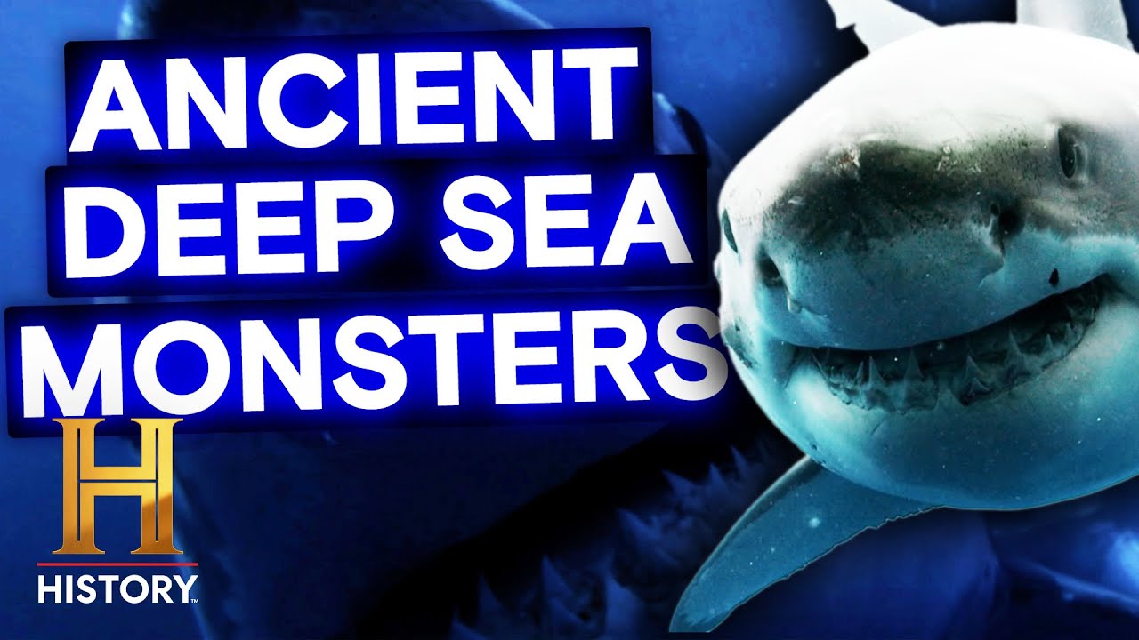 Massive Shark Could Be a Living Megalodon (Season 7) | The UnXplained | History