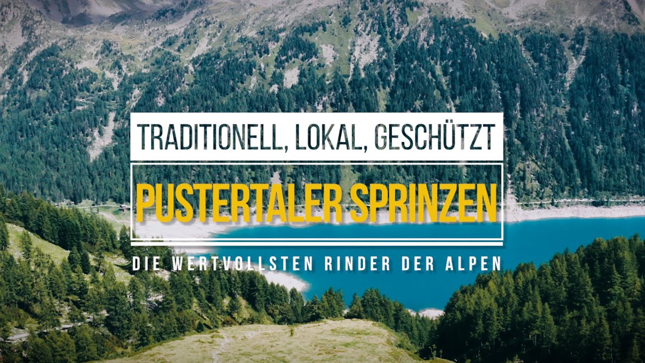 Pustertaler Sprinzen – Traditionell, lokal, geschützt, die wertvollsten Rinder der Alpen