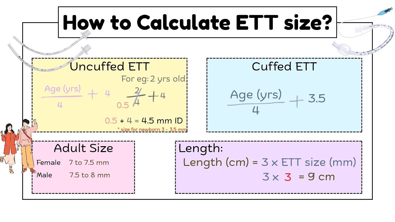 Endotracheal Tube Size Calculation | ETT Size & Length Formula for All Ages (Cuffed & Uncuffed)
