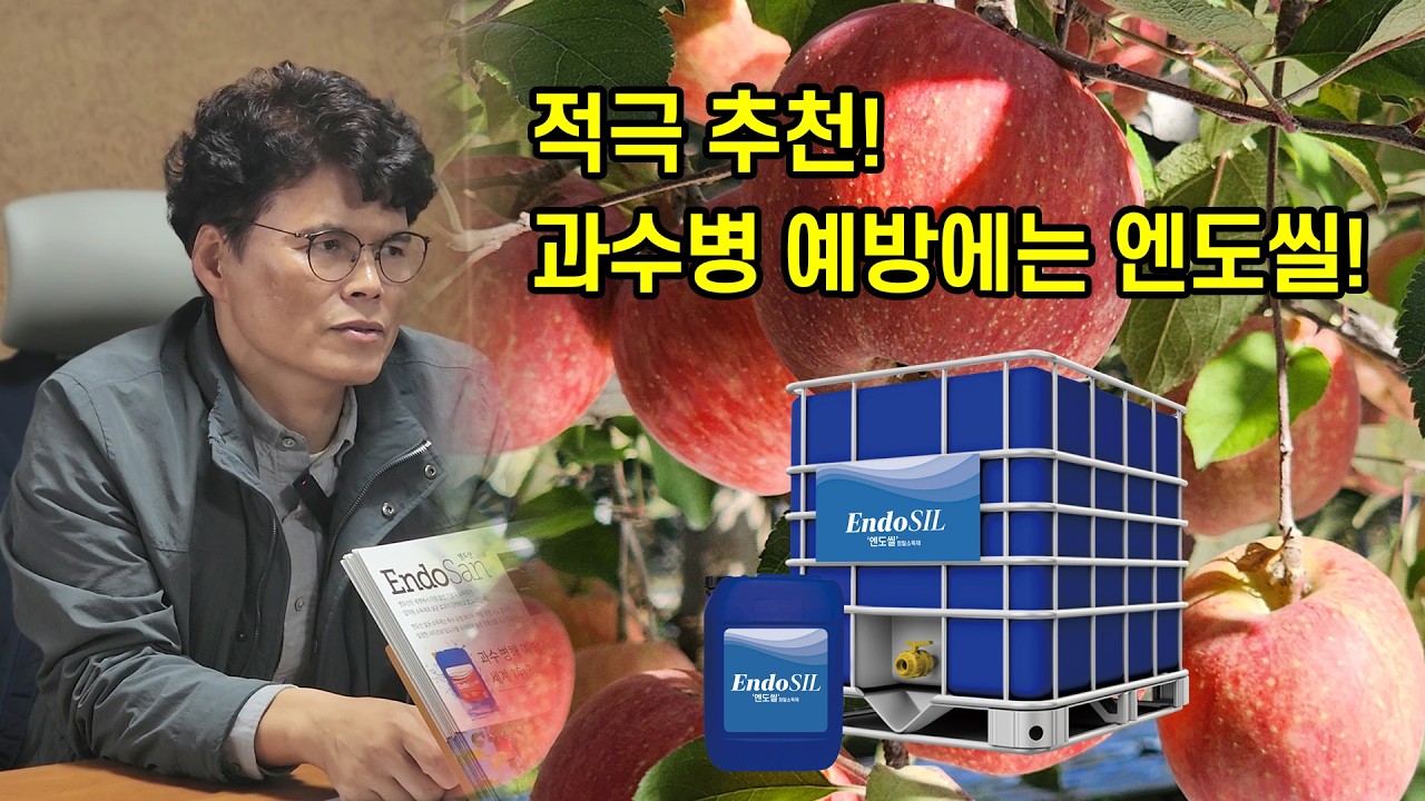 적극 추천! 탄저에는 역시 엔도씰!