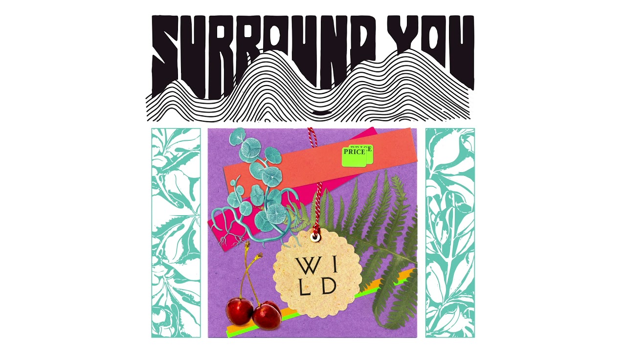 WILD - Surround You [Official Audio]