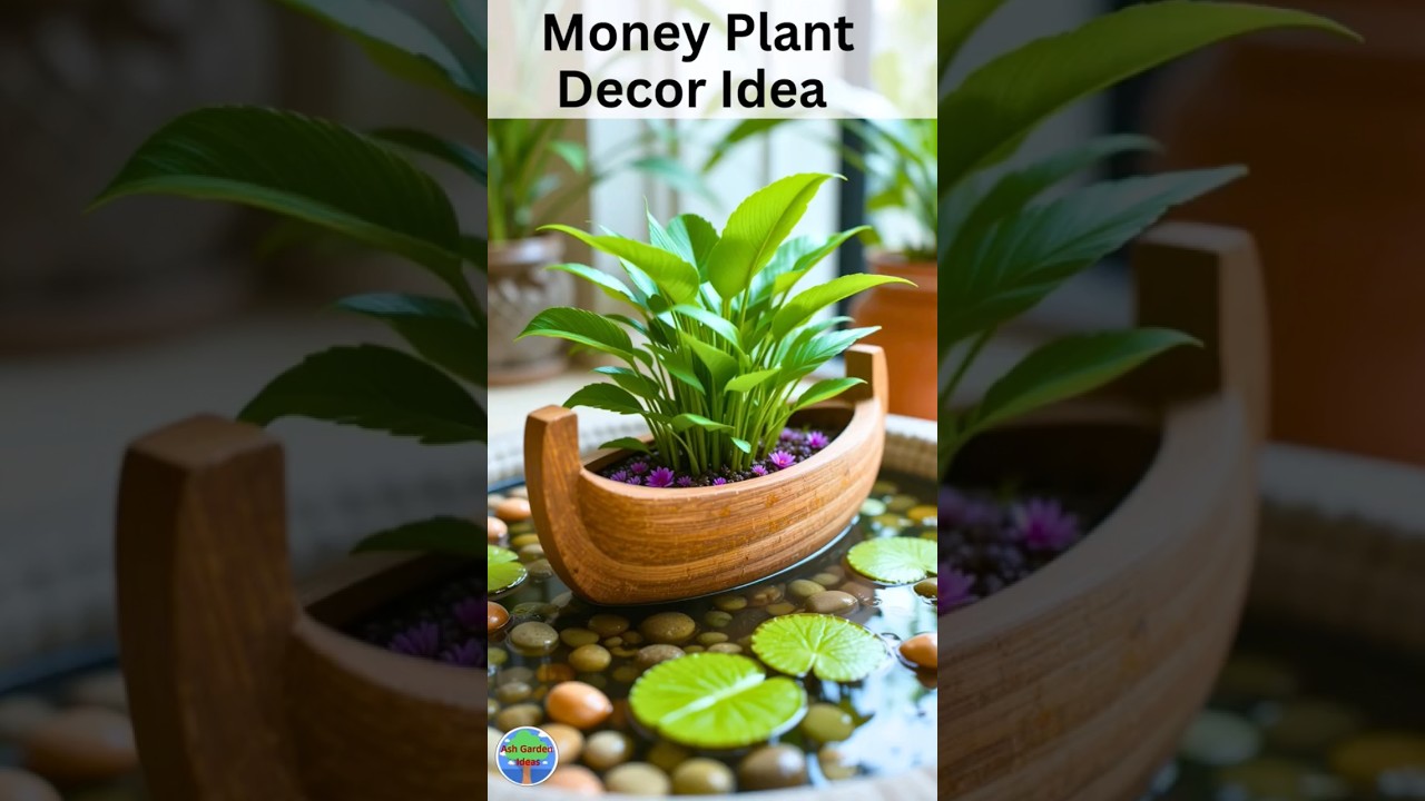 18 Money Plant Decor Ideas That Will Make Your Indoor Garden
