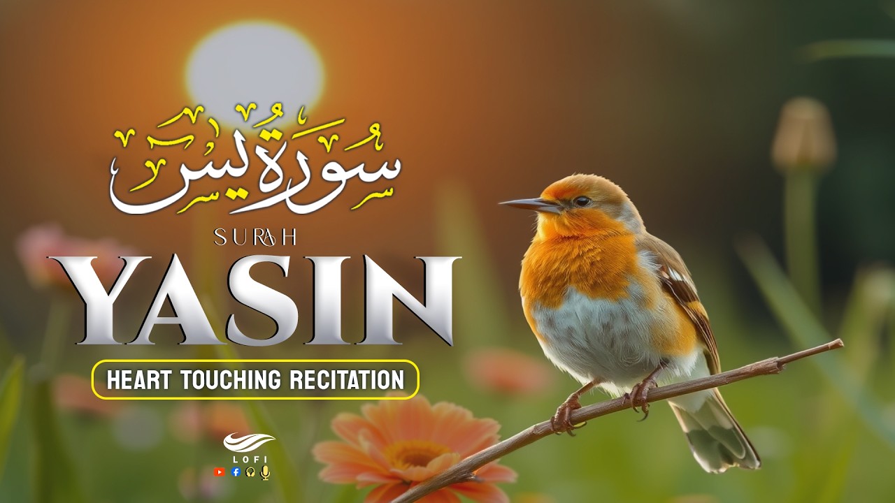 Surah Yasin Yaseen سورة يس ✪Heart Touching Quran Recitation Full Of Spiritual Love
