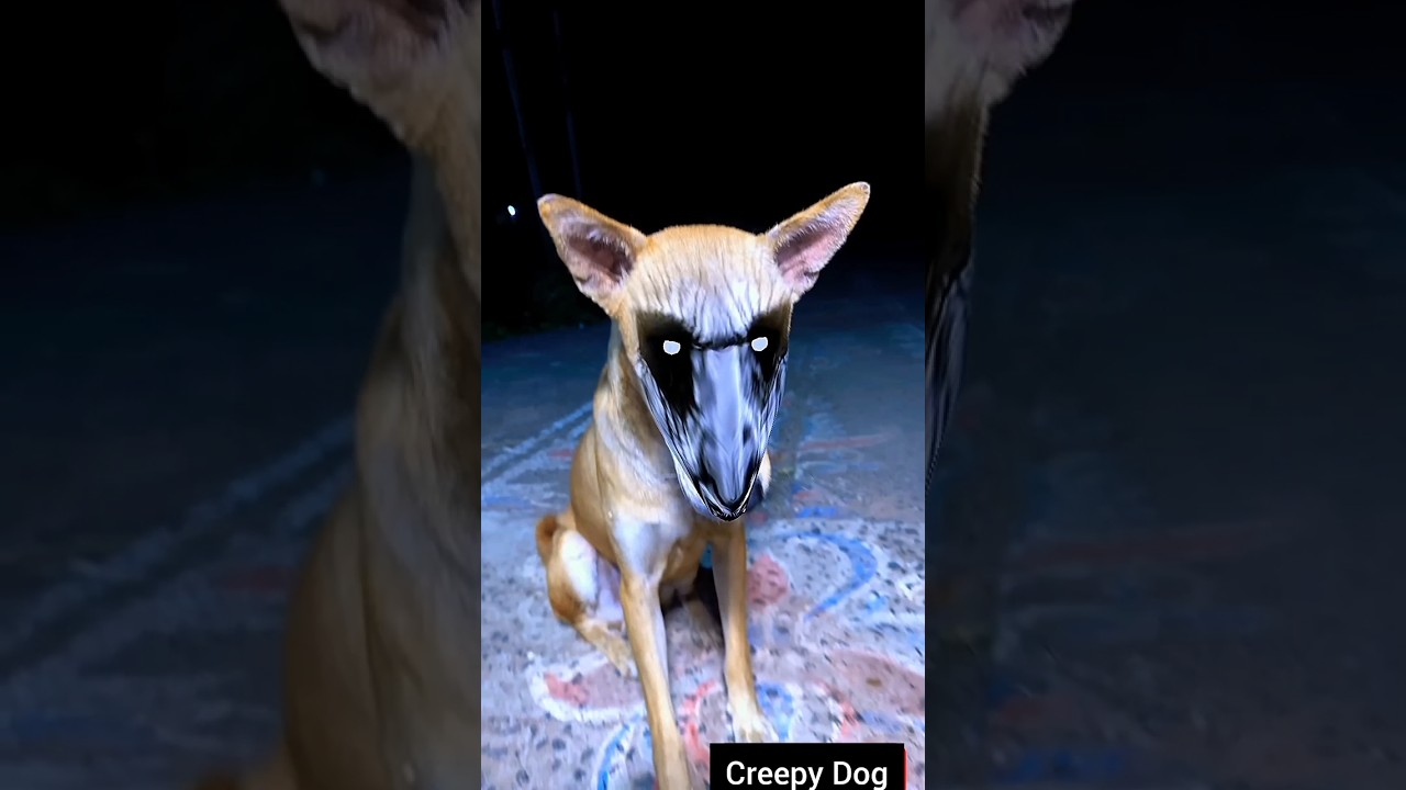 A Creepy dog , horror video . #scary #creepy #horror