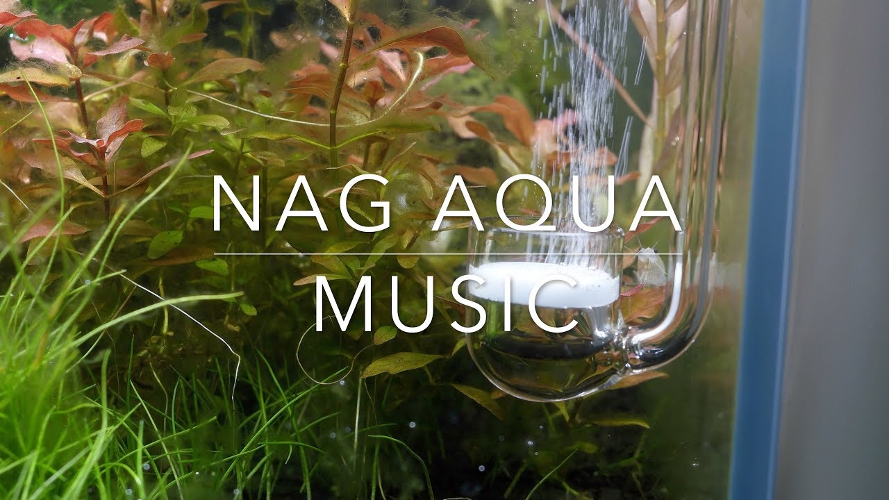 Nag Aqua! Music CO2 hang on diffusor