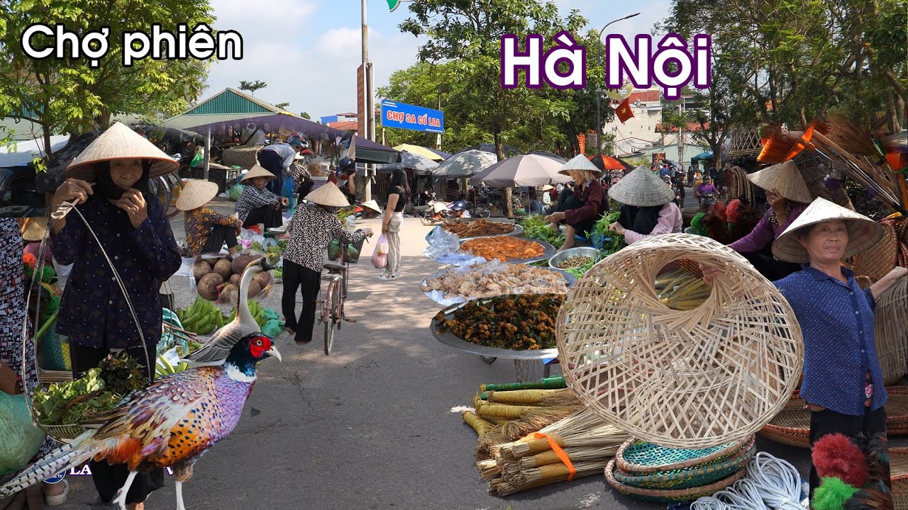Chợ phiên Sa - Hà Nội: Bán chim lạ và Rất nhiều món ăn ngon | LAM SƠN TV