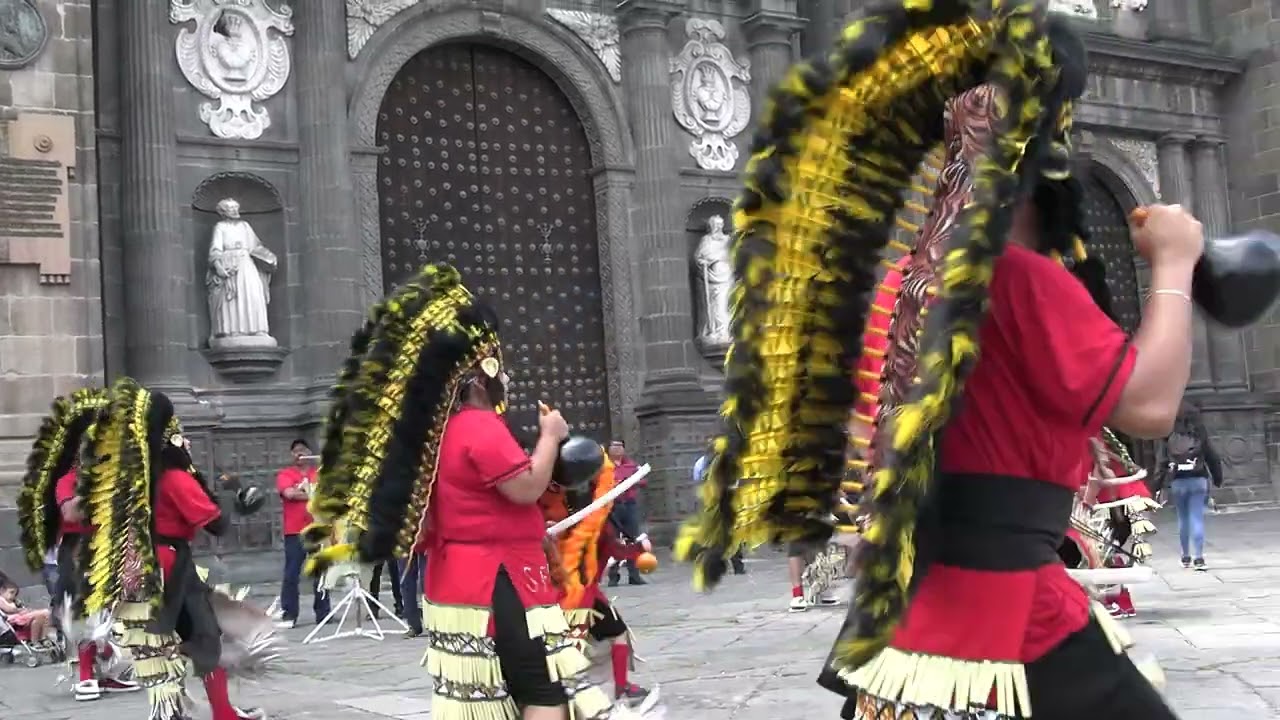 DANZA DE LOS CARRIZOS, San Felipe de Jesús.