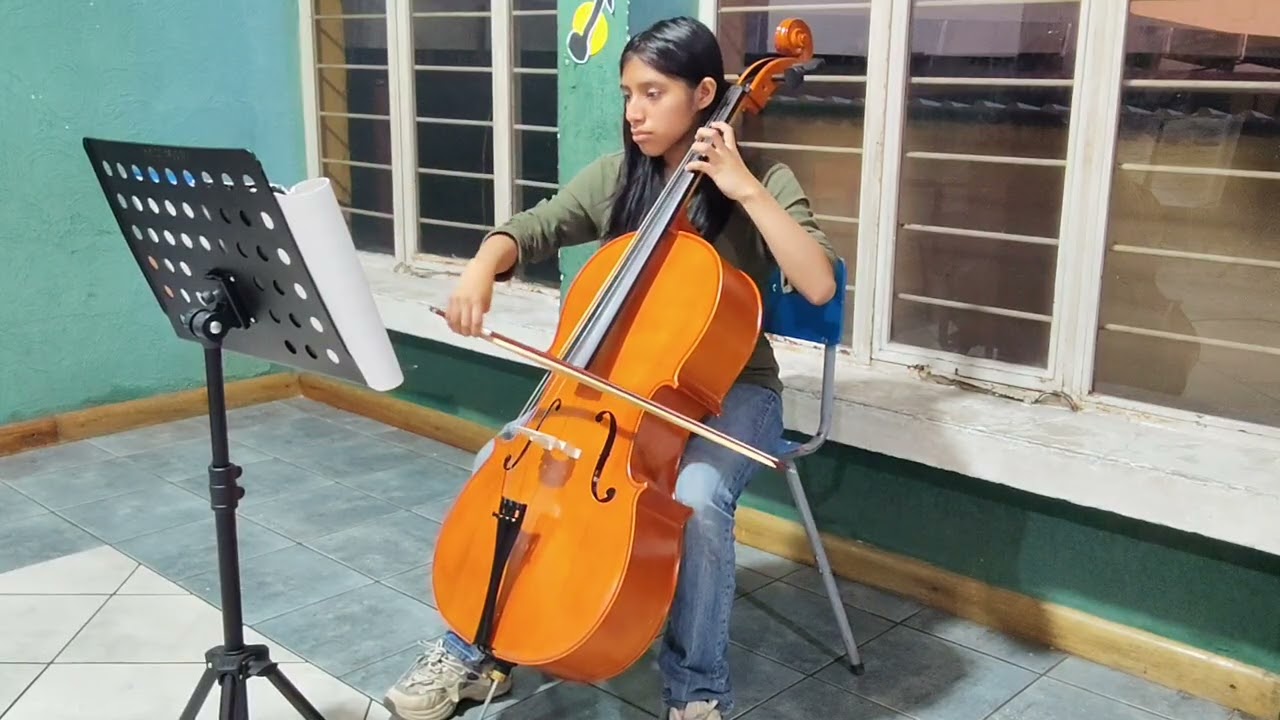 Darlin Jazmín Sanic Chajón