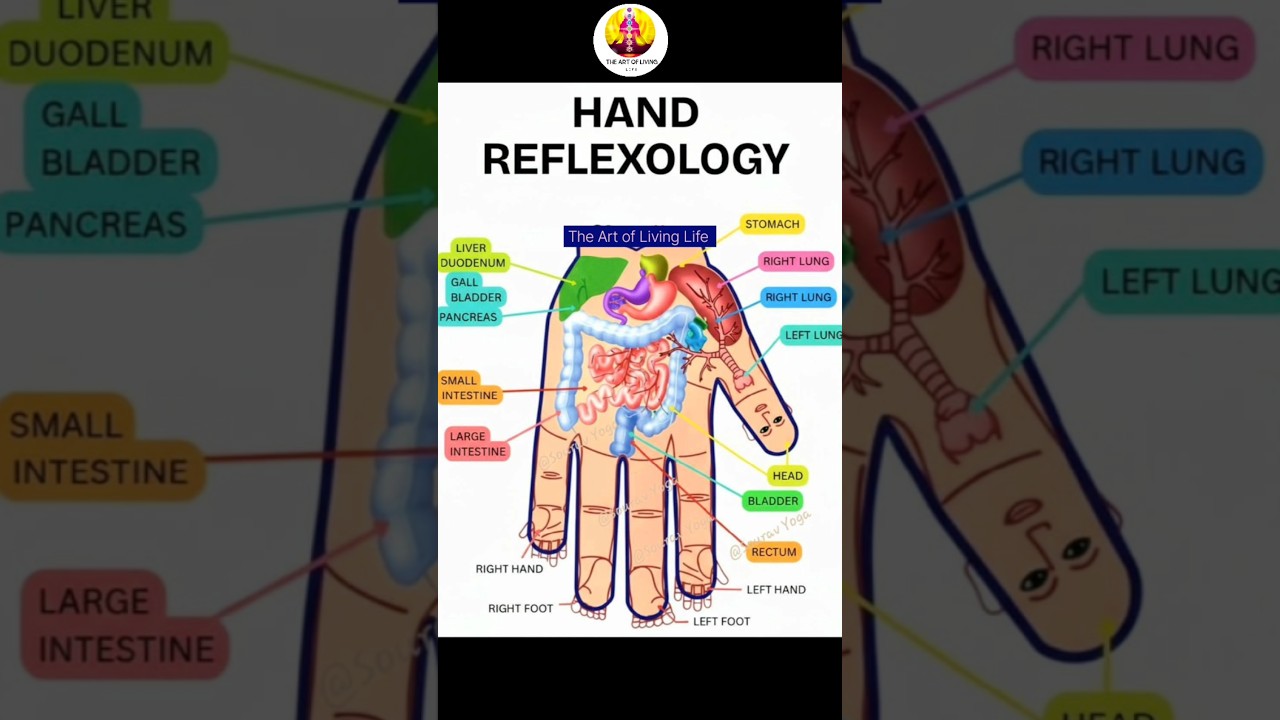 Hand reflexology 