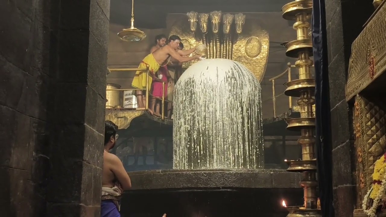 மகா சிவராத்திரி முன்னிட்டு தஞ்சை பெரிய கோவில் பெருவுடையாருக்கு சிறப்பு அபிஷேகம் நடைபெற்றது..