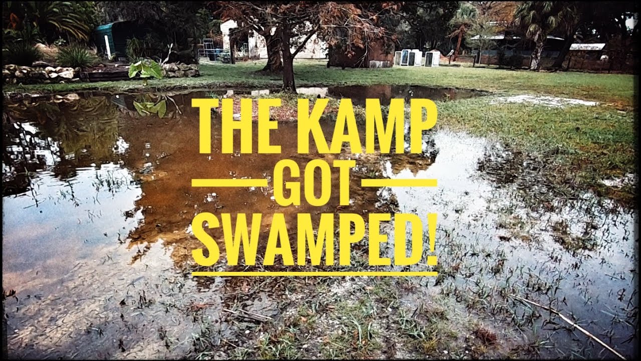 Huge Rainstorm has flooded my Reptile Sanctuary!