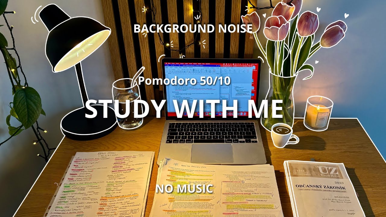2 HOUR STUDY WITH ME, POMODORO 50/10, NO MUSIC, BACKGROUND NOISE - FIRE SOUND EFFECT