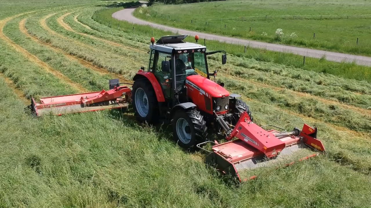 Mowing silage with MF!