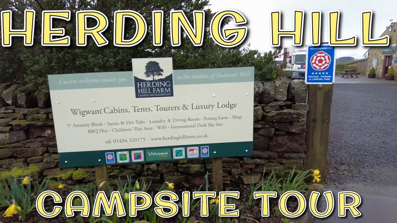HERDING HILL FARM CAMPING AND GLAMPING IN NORTHUMBERLAND