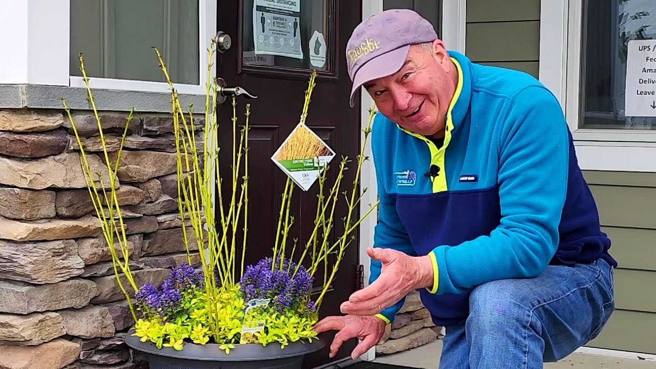 How To Create A Simple, Cheery, Colorful Shrub & Perennials Planter For Early Spring Conditions 👍😉😊💚