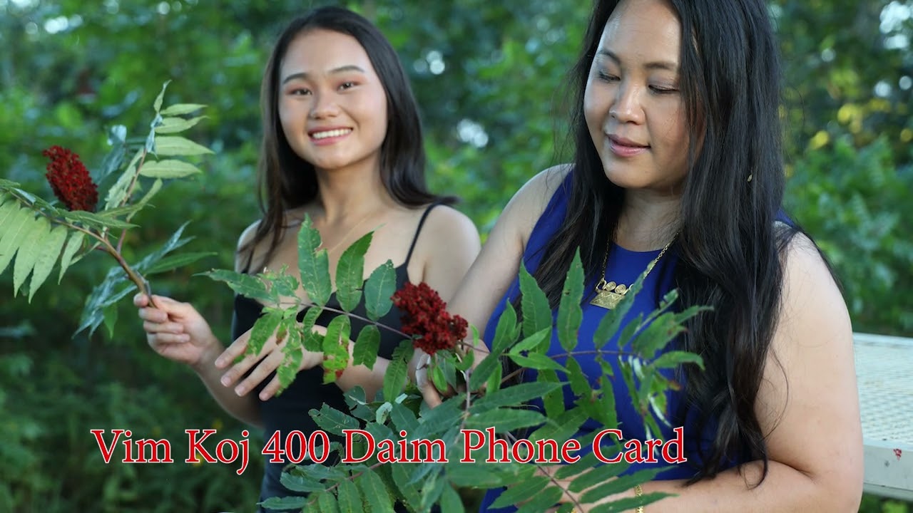 Vim Koj 400 Daim Phone Card. 9/22/24