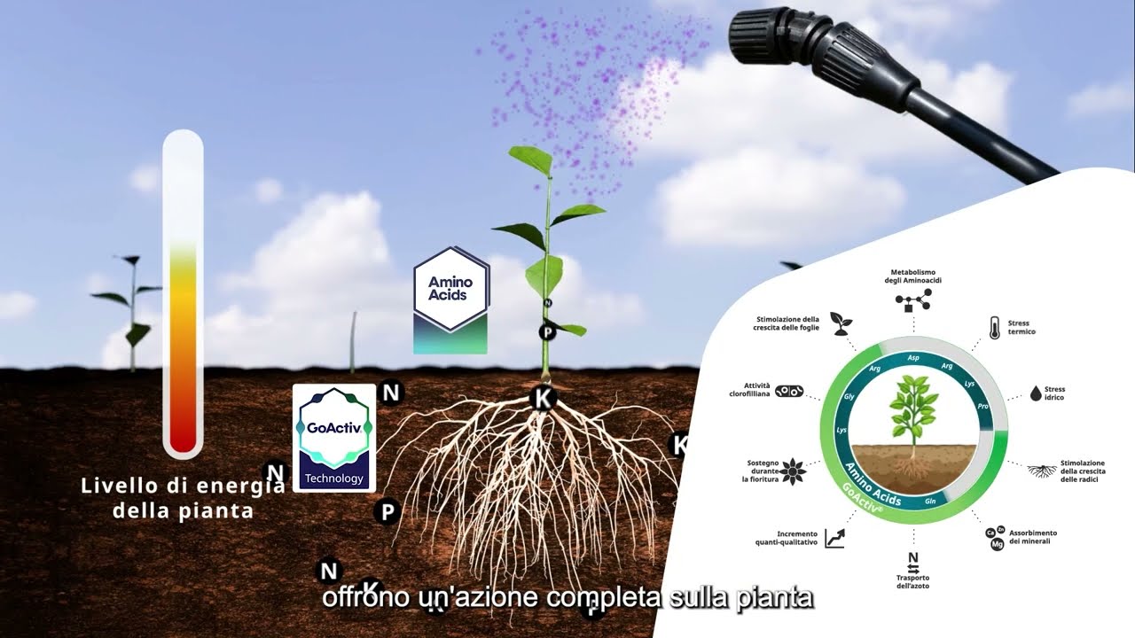 Appetizer Dual - il biostimolante CE per le colture estensive - UPL Italia
