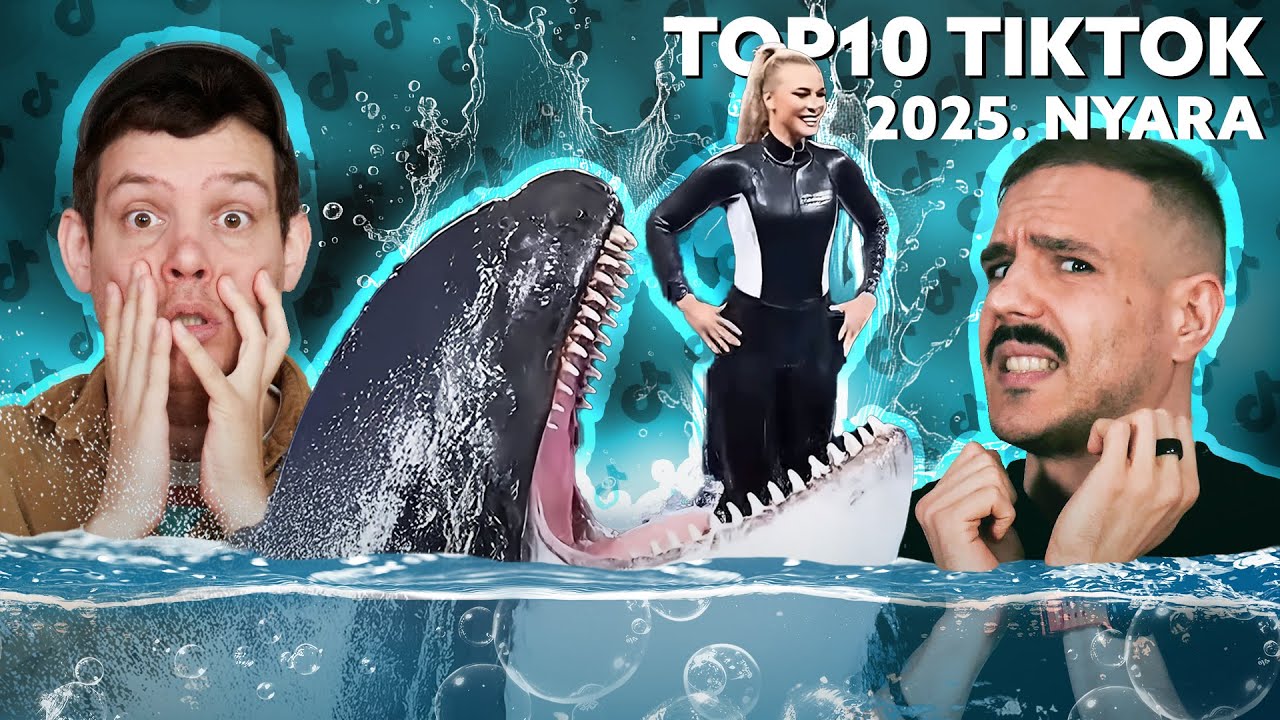 Az IDOMÁRRA TÁMADT a  MEGVADULT kardszárnyú DELFIN! 😱 - TikToklesen #12 | 2025. Nyara