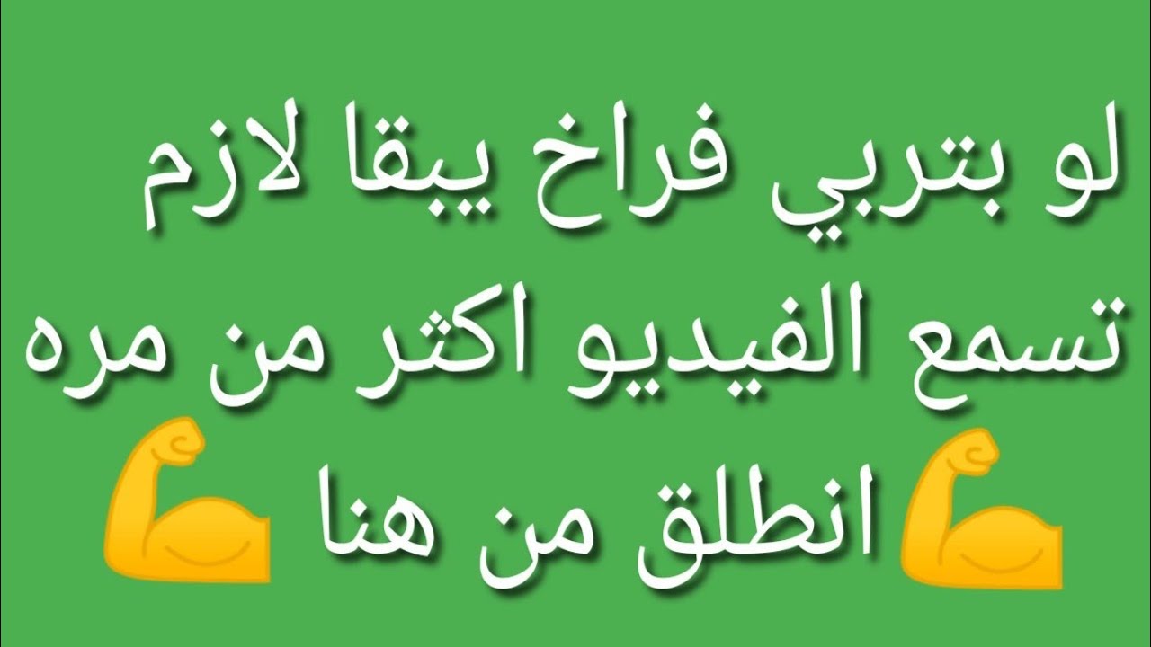 تربيه الفراخ البيضاء 🔴 عاجل  لكل مبتدأ  فيديو مهم جدا تسمعه #اكسبلور