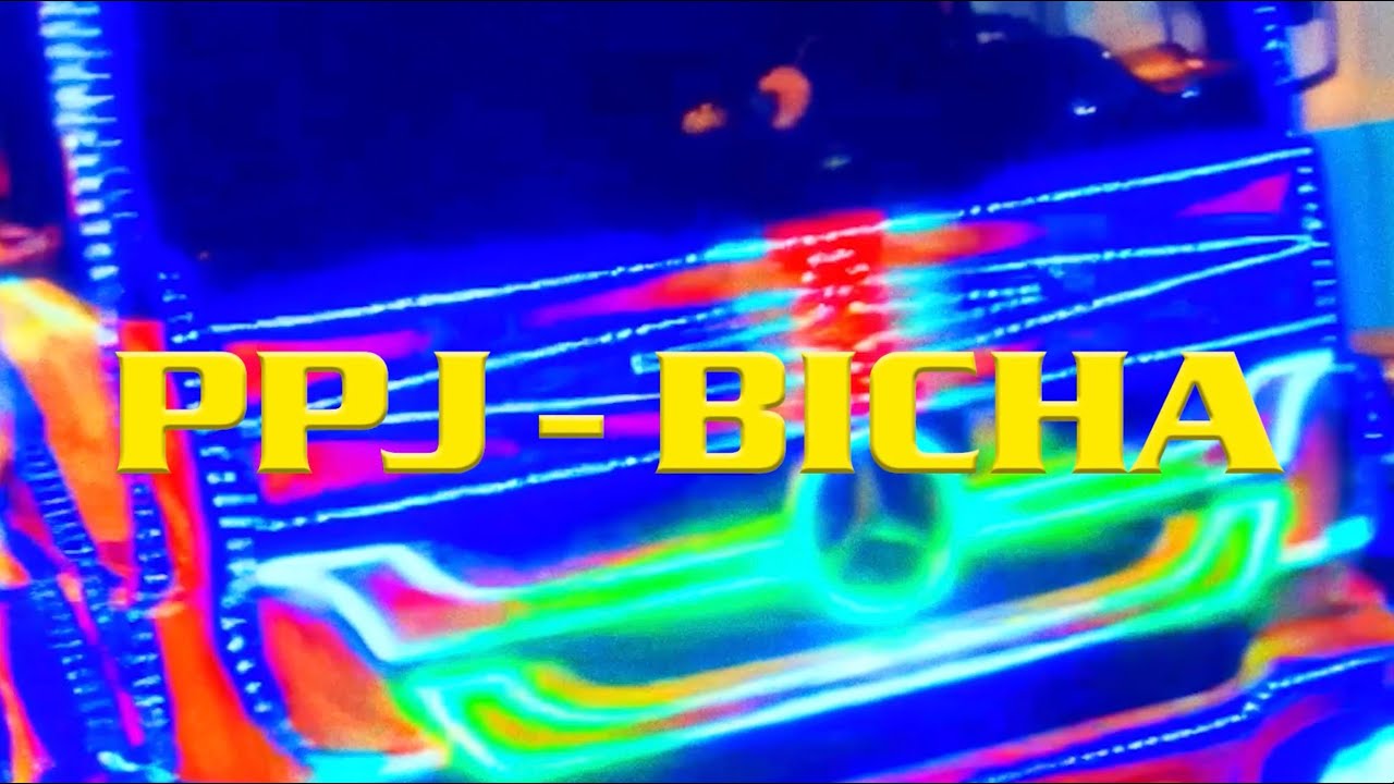 PPJ - Bicha