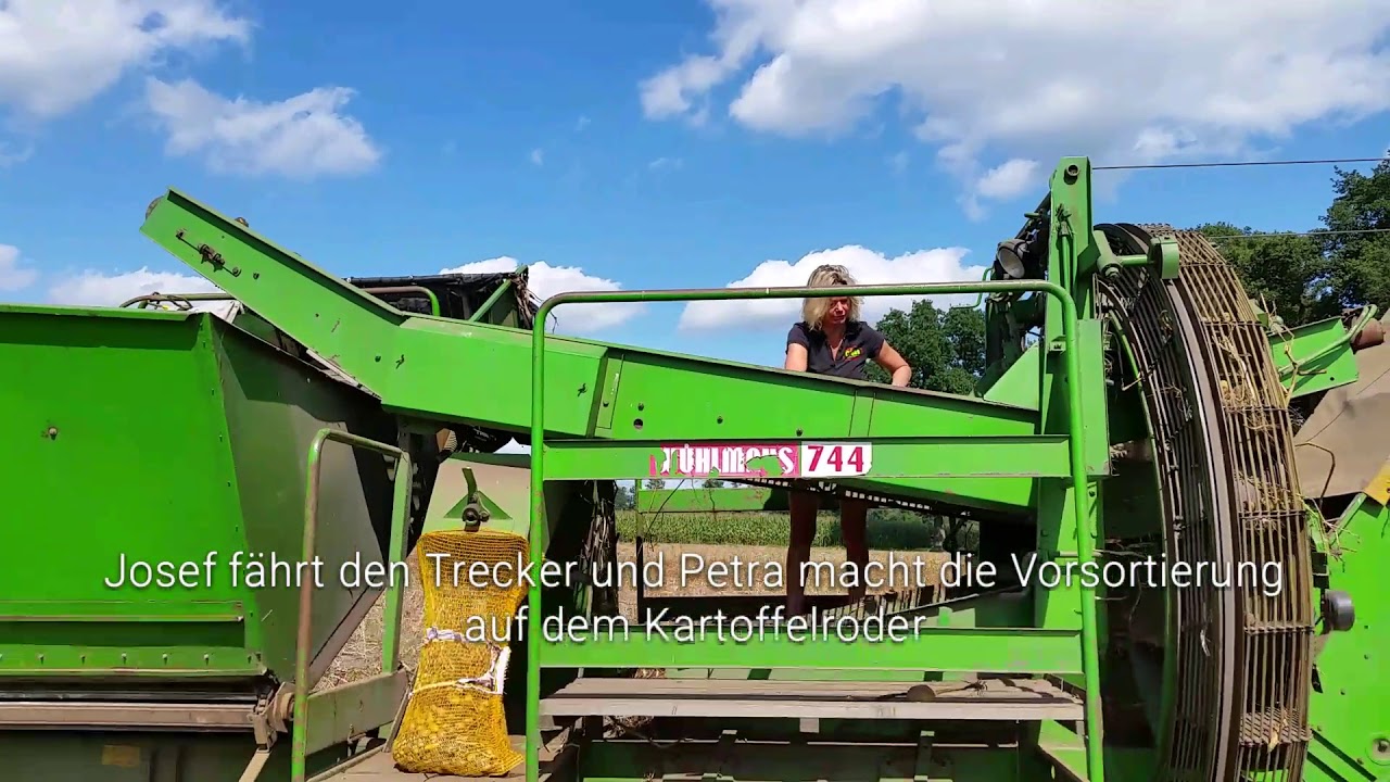 Kartoffelernte
