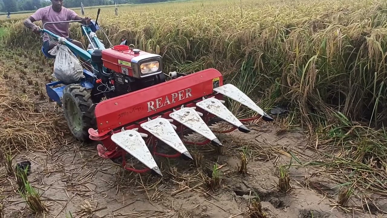 पावर टेलर बाट धान काट्ने प्रविधि नेपाल मा पनि @Newtechnologyct9240#harshvardhanmotivation #farming