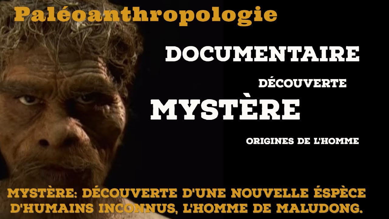 Myst&egrave;re: L' homme de Maludong, une nouvelle esp&egrave;ce ayant rencontr&eacute; la notre?
