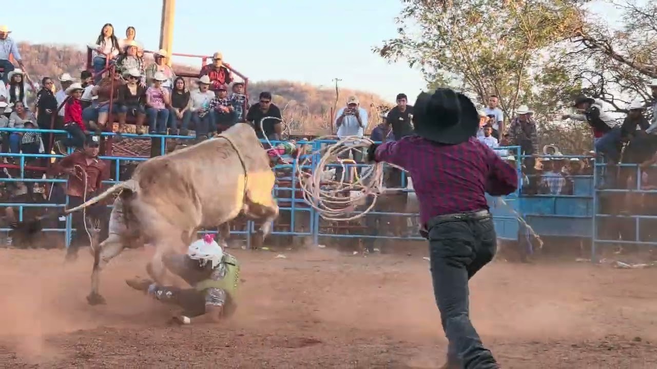 JARIPEO 14 DE FEB 2026 EL PORVENIR CHIMALAPA MONTA 15