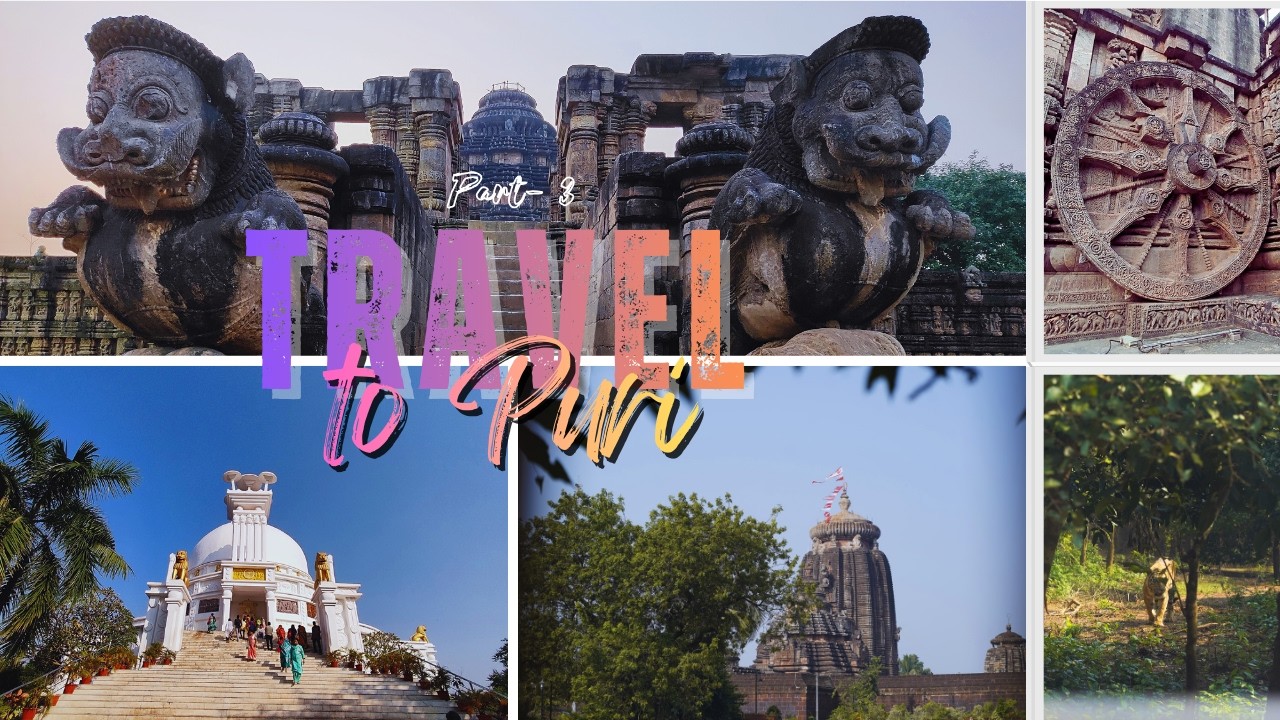 Puri OTDC Bus Tour | Puri Sightseeing Package by Bus | Nandankanan | Konark | Puri Tour Plan |