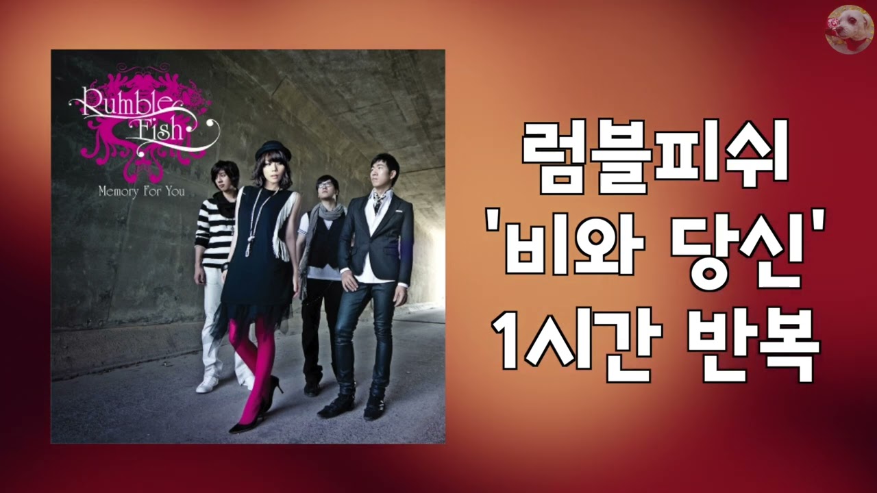 럼블피쉬 - 비와 당신 1시간 반복 교차 재생