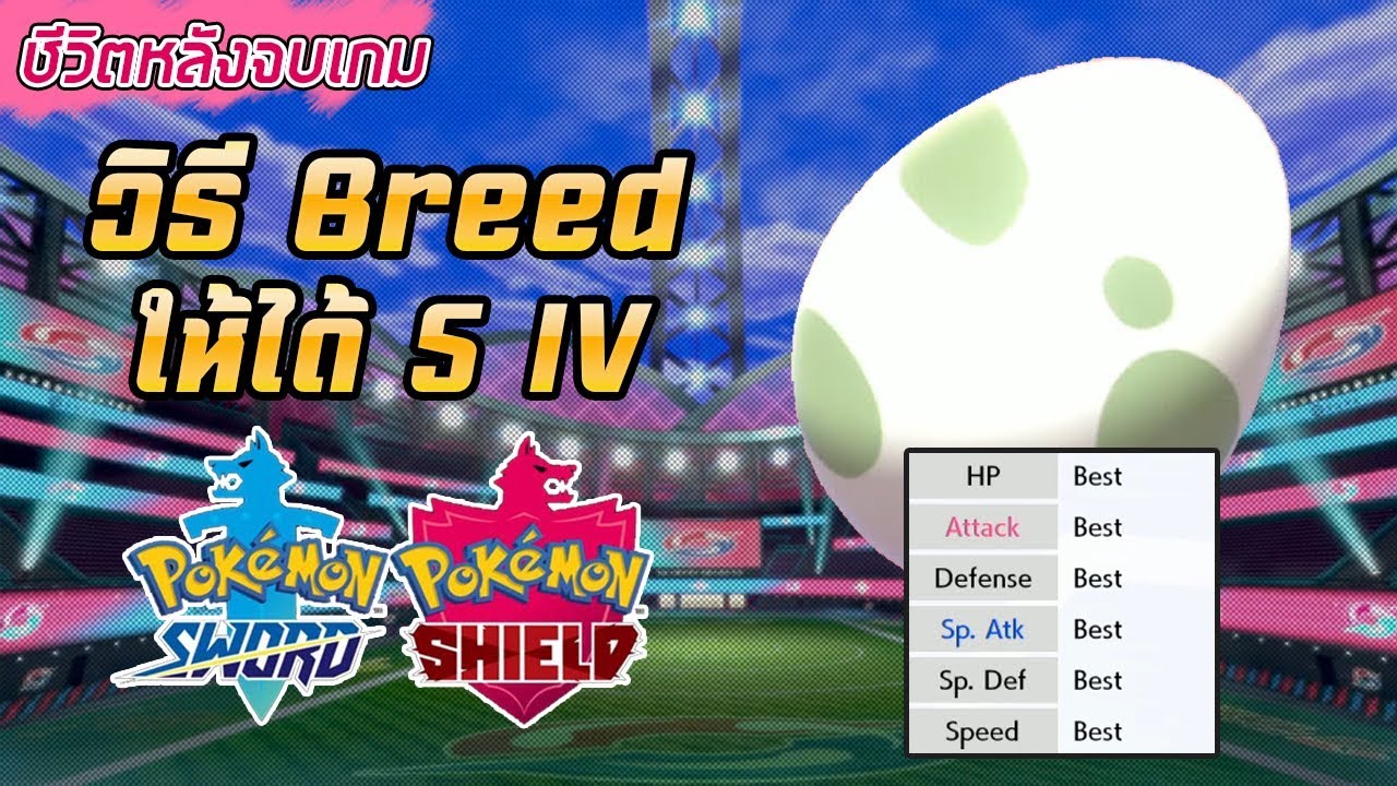 วิธี Breed ไข่ Pokemon ให้ได้ 5 IV ใน Pokemon Sword & Shield