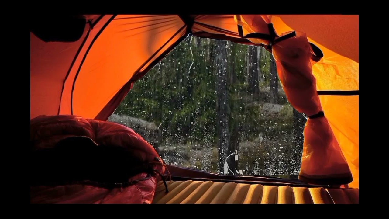 Camping in the woods in the middle of rainy weather, ASMR heavy rain and lightning. #relax #asmr
