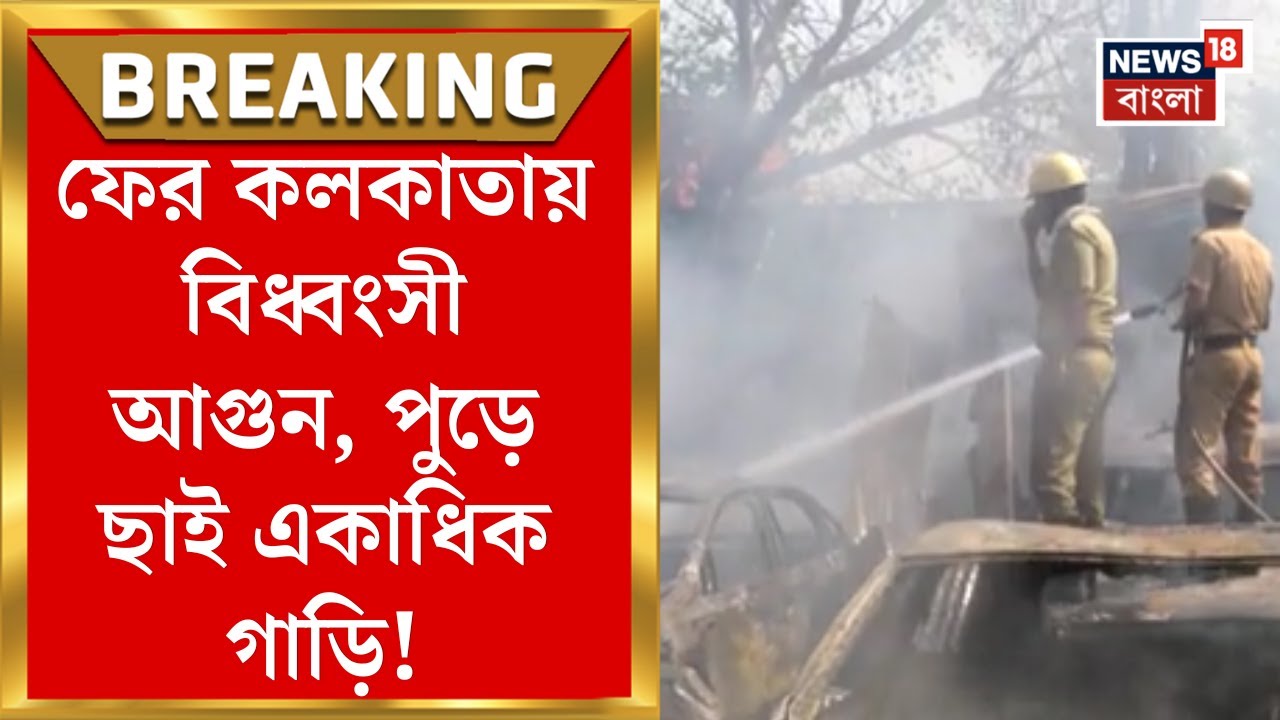 Kolkata Fire : E M Bypass এর ধারে বিধ্বংসী আগুন! পুড়ে ছাই বেশ কয়েকটি গাড়ি | Bangla News