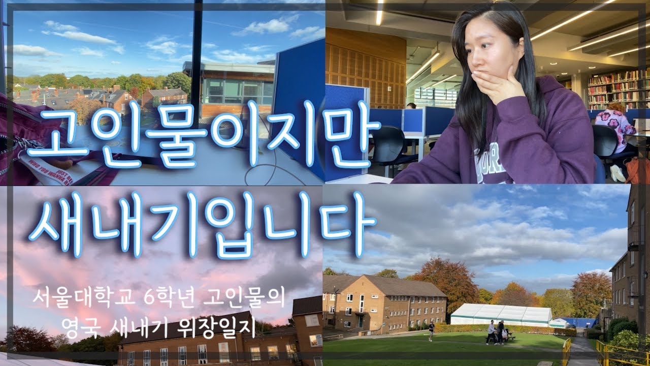 [융's Vlog] 브이로그 이렇게 하는거 맞아? (영국 대학 일상, 교환학생, 기숙사, 도서관, 노동과 좌식생활의 연속) Durham University Vlog