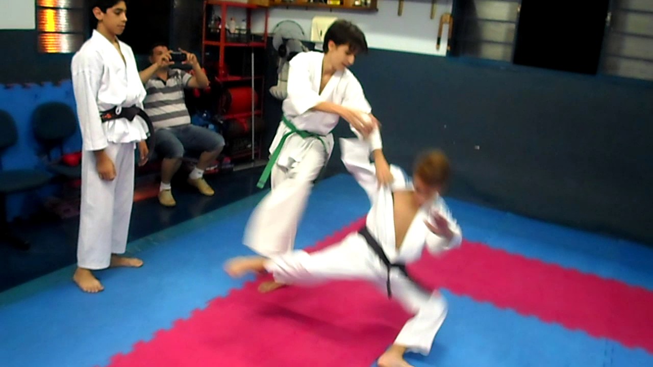 Bujin Do Kan   Introd  ao Kumite   Happo Kumite