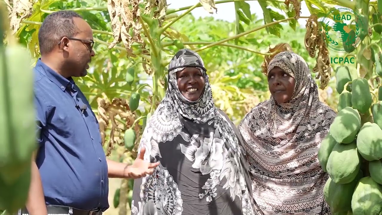 Rural Livelihoods’s Adaptation to Climate Change in the Horn of Africa (RLACC II)