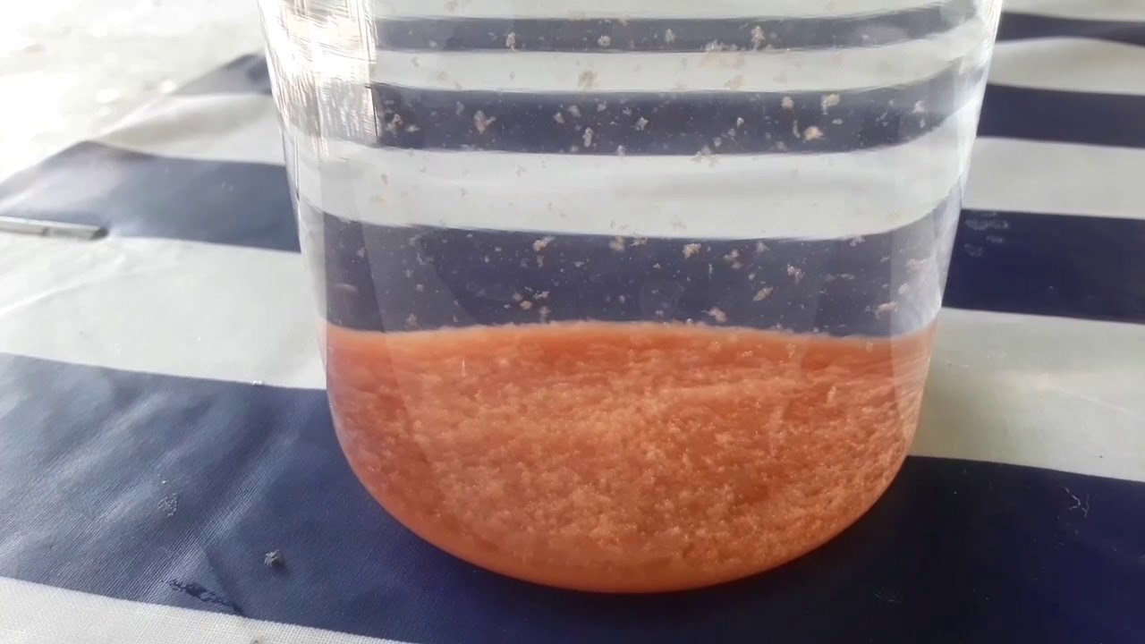 RED ORMUS / ORME - From Hawaiian Red Lava Sea Salt, DIY / KIRMIZI ORMUS