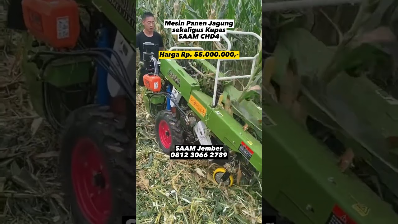 Mesin Panen Jagung dan Pengupas Tipe CHD4 (Short Version)  #saamjember #panenjagung #alatpertanian
